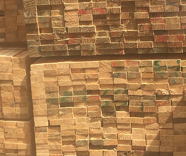 梅列新西兰进口松木